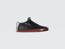 shoe