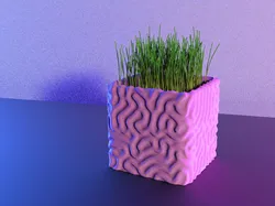 Square Coral Planter