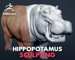 hippopotamus - sculpt