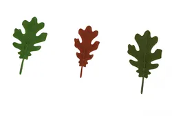 oak leaf