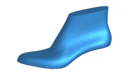shoe last 3d
