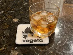 Coaster Vege-didas