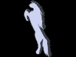 cavalo