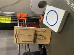Mouse trap bell