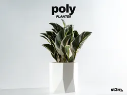 Poly ⬝ Planter