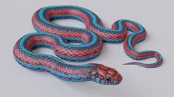 San francisco garter snake - animated