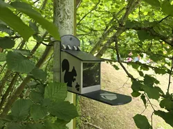 Squirrel Feeder