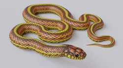 Yellow snake - animated