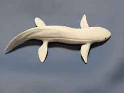 Australian Lungfish (Neoceratodus forsteri)