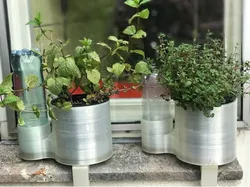Self watering plant pot