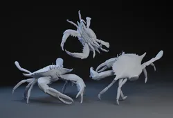 Crab