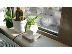 Levetating Plant Pot