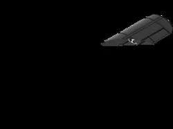 Aerostar festival F40 wing