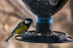 Bird Feeder for a bottle (48mm and 28mm threads)