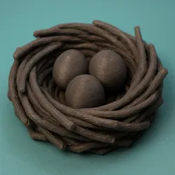 Bird Nest