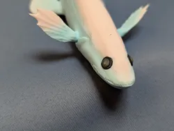 Deepsea Lizardfish (Bathysaurus ferox)