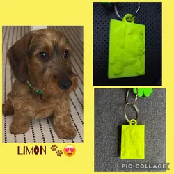 Llavero perrito
