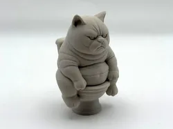 Grumpy Potty Kitten