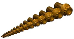 MS21250 Bolts, Flanged 12 point.