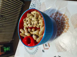 Récipient a pistache