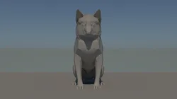 shiba inu dog