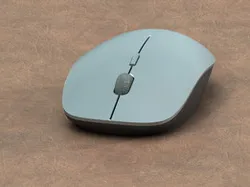 Computer Mouse