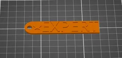 Keychain text EXPERT.