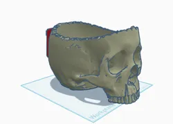 Skull Mug