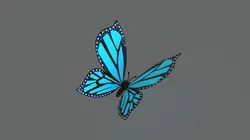 Cartoon Butterfly Wing Flapping Animated 02