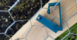 Chick wire clasp