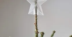 Christmas tree top star