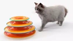 Circular Cat Toy Tower with Moving Balls Fur Animated Rigged 3D model