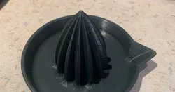 Citrus juicer