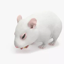 Dwarf Hamster White Rigged for Cinema 4D 3D model