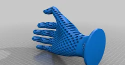 Holey Hand
