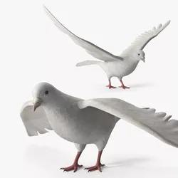 Lowpoly Dove Wings Extended White Rigged for Cinema 4D Low-poly 3D model