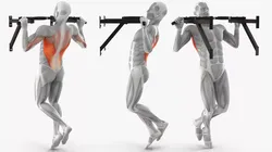 Male Muscular System Pull-up Animated Rigged for Cinema 4D 3D model