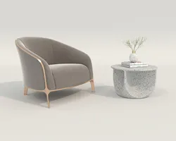 Modern Coffee Table and Armchair 55