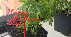 Mother's Day Plant Stake