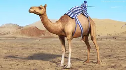 Mounted Racing Setup on Camel 3D model