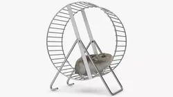 Pet Exercise Wheel on Stand with Running Hamster Fur 3D model