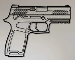 Sig P320 Silhouette