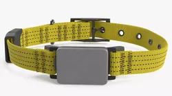 Smart Dog Activity Tracker Collar 3D model