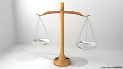 Weighing Scale - Type 2