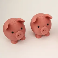 Cute Pig