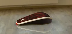 computer mouse