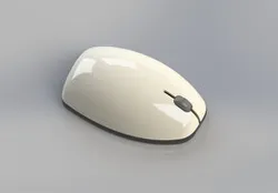 Computer Mouse