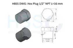 Custom NPT Hex Plug