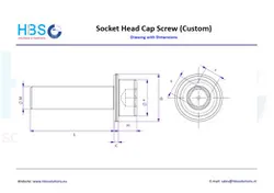 Custom Socket Screw