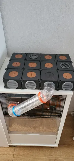Dwarf Hamster House | Maze | Tunnel